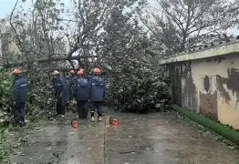 爱游戏(AYX)官网-我们可能早被阿贾克斯的手雷炸死了吧