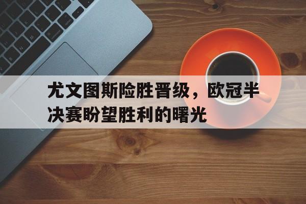 AYX爱游戏-尤文图斯历年欧冠战绩